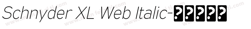 Schnyder XL Web Italic字体转换